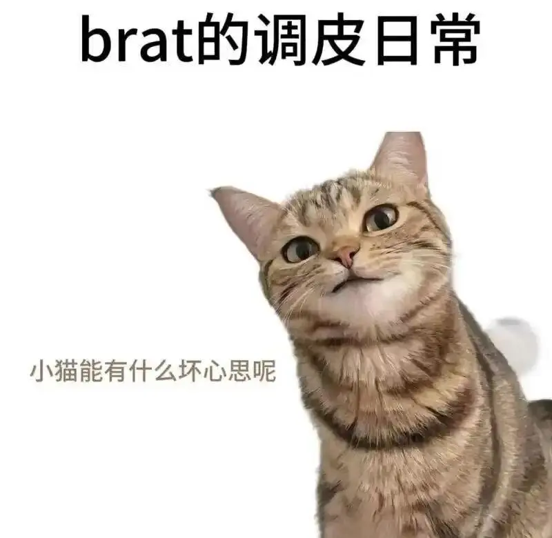 西檬之家-字母圈新人如何入圈：BDSM基础指南