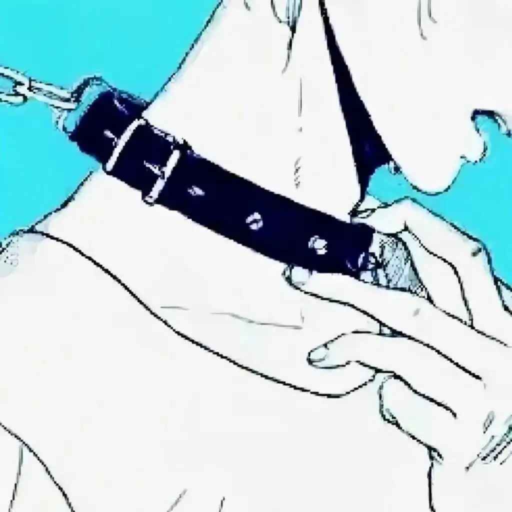 西檬之家：字母圈入门指南从K8到DT，安全建立你的BDSM关系