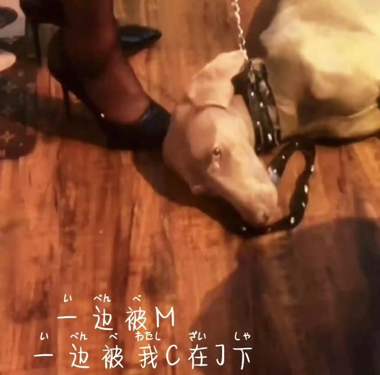 【西檬之家】新人入圈指南：PE——权力交换的奥秘