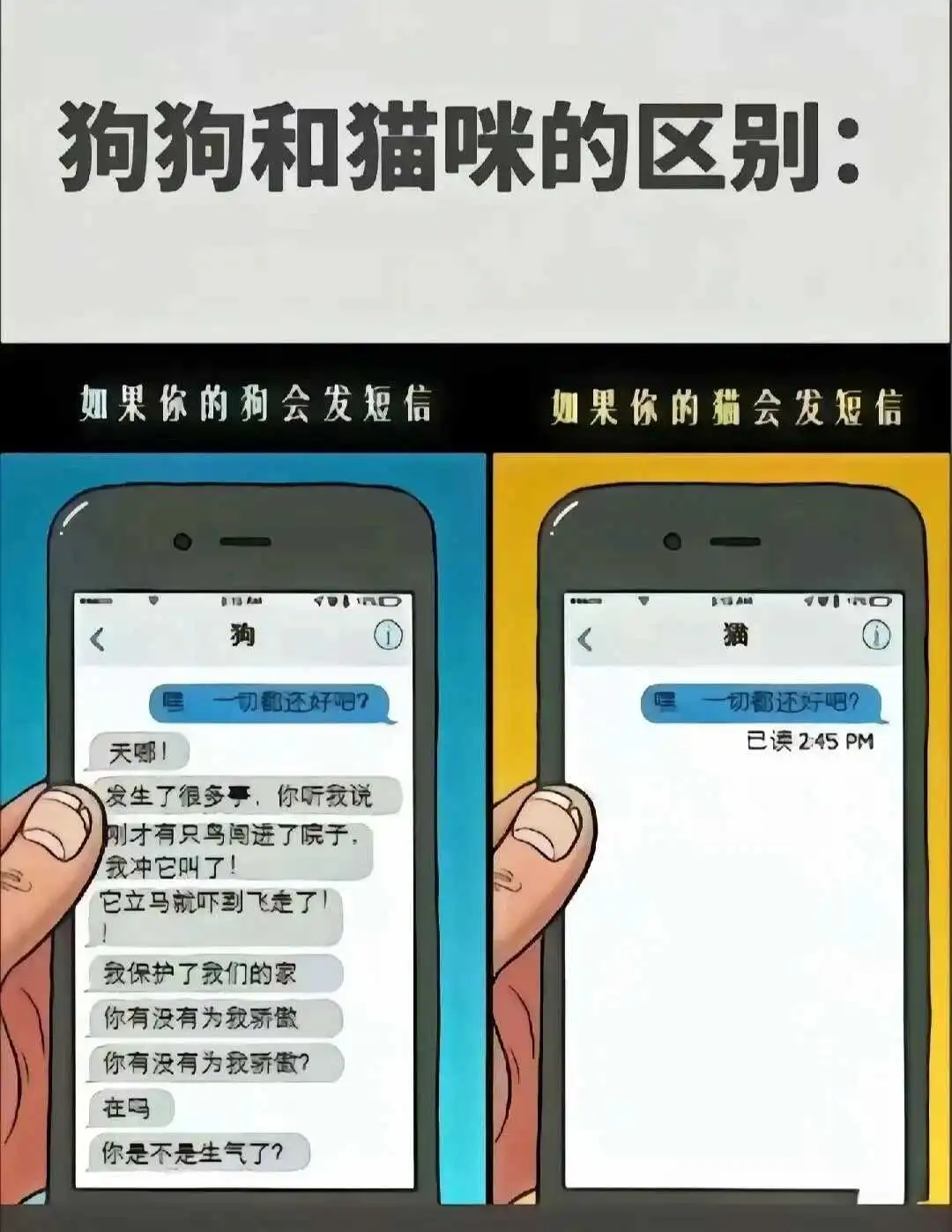西檬之家-字母圈新人如何理解基本术语？