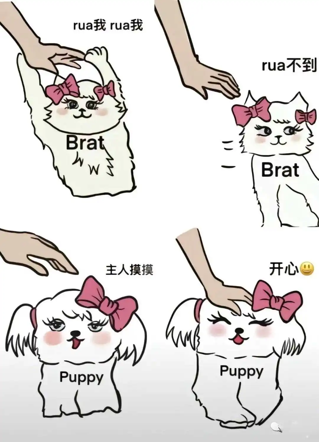 [西檬之家]字母圈新人入圈指南-理解BDSM核心术语