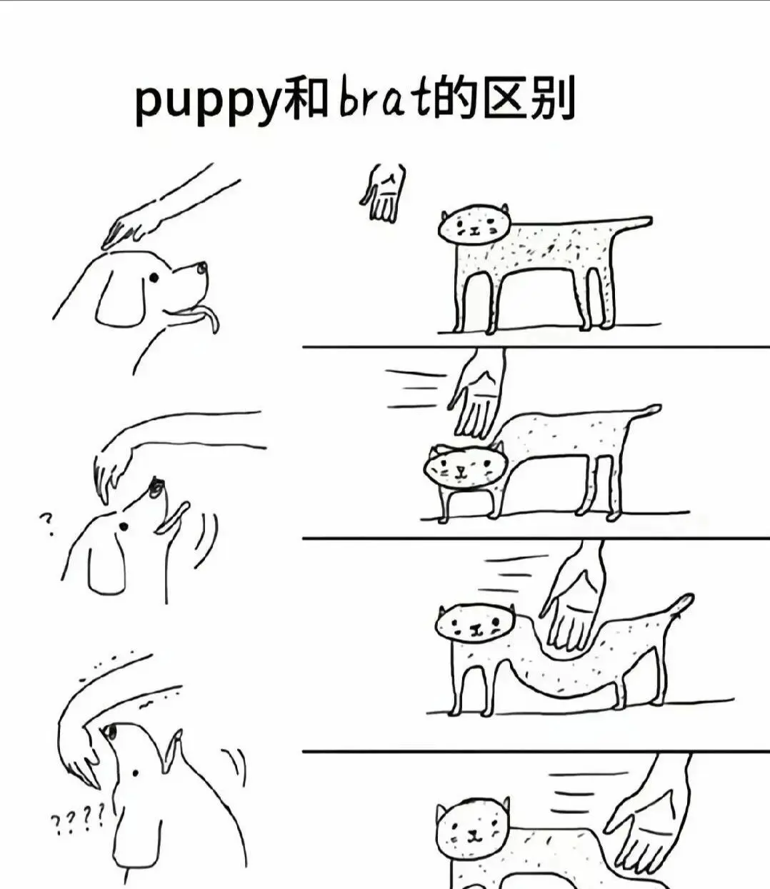 【西檬之家】圣水是什么？字母圈新人必备的安全指南