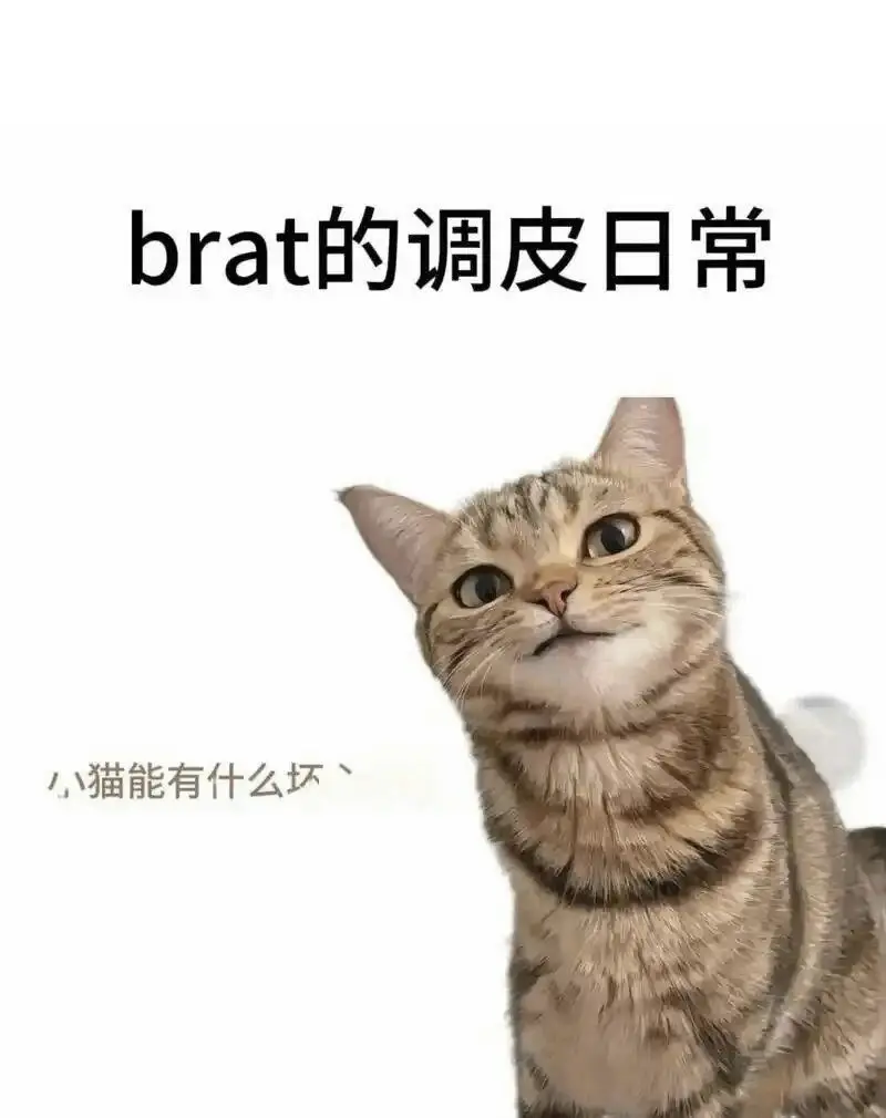 西檬之家-字母圈DOM是什么？浅析BDSM中的支配与臣服关系